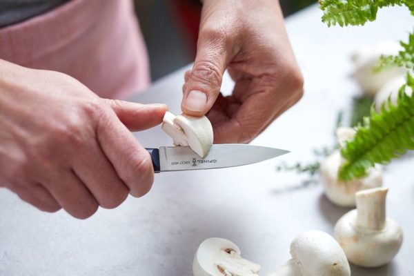 OPINEL INTEMPORA PARING KNIFE N.225 - Image 3